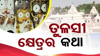 Sarbarta Sri Jagannath | Know the significance of Tulasi Khetra in Sri Baladevjew Temple