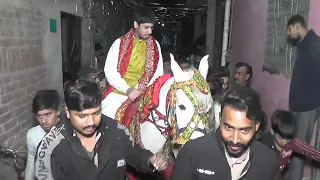 Horse dancing to the rhythm of dho|Weding Asad MughalB.K Digital