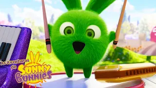 As Aventuras de Sunny Bunnies | Banda de um coelhinho | Série 5 | Desenhos Animados Infantis