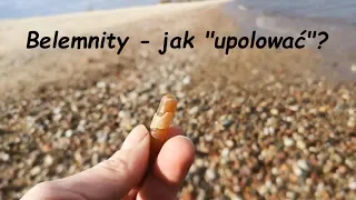 Belemnity - jak "upolować"?