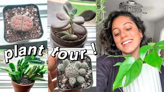 HOUSE PLANT TOUR! | Meet my indoor plants & unboxing NEW succulents!