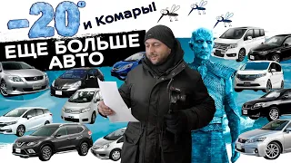 Минивэны, Универс, Кроссоверы - продолжаем вывозить все авто из ЯПОНИИ❗Lexus❗Fielder❗Shuttle❗FREED❗