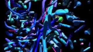 Транспорт антител через базальную мембрану