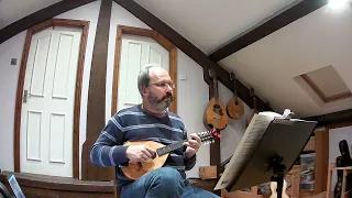 The Queen's Dream (Carolan?), Irish air on mandolins