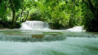 Most Soothing Cascade Waterfall Stream Sound. Waterfall 4k, Nature Sounds, White Noise for Sleeping.