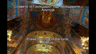 Psalm 135 (136): Praise the Lord - Псалм 135 (136): Славете Го Господа