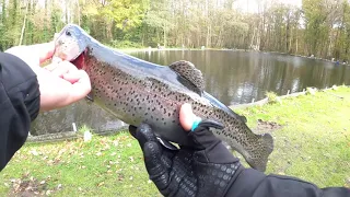 Forel Vissen Met Spoon..Trout Area |Bergeinde|The Fishing Guru