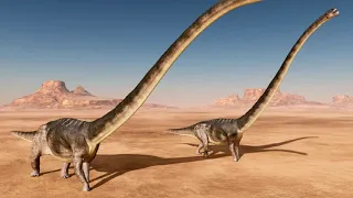 10 LARGEST Herbivorous Dinosaurs That Ever Lived!