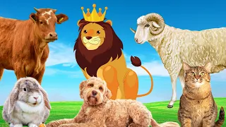 Name animals - Cow, sheep, rabbit, lion, goat - Animal paradise