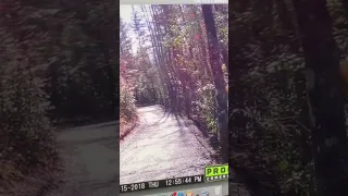 Bigfoot Caught on Camera Messing with Trail Cam!