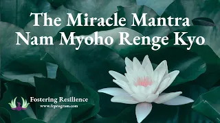 What is the Miracle Mantra | Nam Myoho Renge Kyo | Transform Your Life
