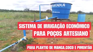 Melhor sistema de irrigação ECONÔMICO para poço artesiano