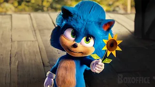 A história do Bebê Sonic