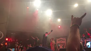 Body Count's virtual encore @Budapest Park 17 06 18