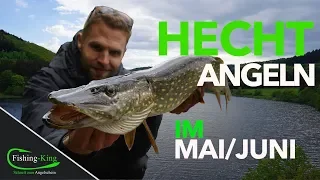 Hechtangeln im Mai/Juni - so geht´s| Fishing-King.de