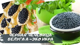 "Икра" веганская!!!! Черная чечевица -ТОП 5 по железу! Худеем! Полезный салат! перекус спортсменам!