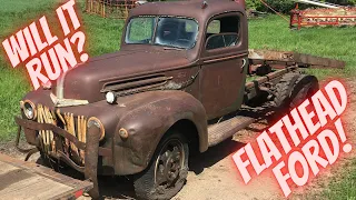 Ford Flathead sitting for 48 years! Will it run?!? 1947 Ford Truck rescued from the tree row