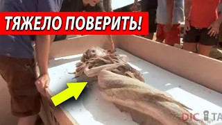 СРОЧНО! ЭТИ ФАКТЫ ПОРАЗИЛИ ВСЕХ! (2021) СКЕПТИКИ РВУТ НА СЕБЕ ВОЛОСЫ!