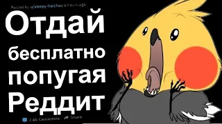 ТыЖеХУДОЖНИК, РИСУЙ БЕСПЛАТНО. ОТДАЙ БЕСПЛАТНО РЕДДИТ