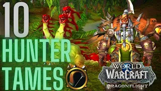 10 More Unique & Rare Pet Tames for all Specs | Dragonflight Hunter 10.0+