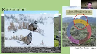 Lecture Series: The Listed Bird in Our Backyard, Gunnison Sage-grouse