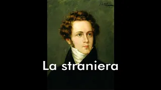 Bellini, ''La straniera'' - Act I duet ''Oh tu sai gli spasimi''