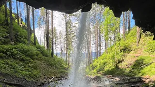 Walk under Ponytail Falls