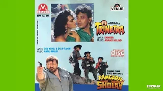 Main Tujhe Chhod Kar (Trinetra 1991) - Kumar Sanu HQ Audio Song