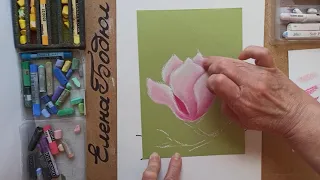 МАГНОЛИЯ / ЖИВОПИСЬ ПАСТЕЛЬЮ /how to draw magnolia. painting with pastel /.如何畫木蘭粉彩繪畫