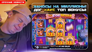 Dog House заносы на миллионы! / Мелстрой загубил себя? Что случилось?