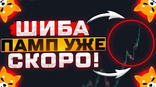 SHIBA И РОБИНХУД ОБЪЯВИЛИ О СОТРУДНИЧЕСТВЕ! НОВЫЙ ПАМП УЖЕ СКОРО!