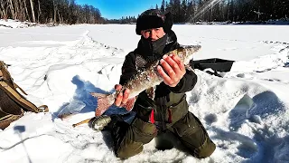 Зимняя рыбалка в тайге на ленка. Пиздроны нам бросили вызов. Зимняя рыбалка в Сибири на горной речке