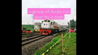 a group of ducks run over by a train