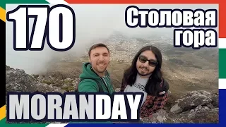 Moran Day 170 - Столовая Гора (ЮАР) 🇿🇦