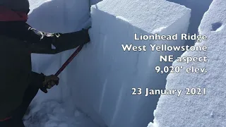 Large avalanches possible, Lionhead Ridge - 23 Jan 2021