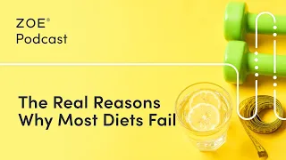 Why Starting That New Year’s Diet Might Actually Be Bad for Your Health | ZOE Science Podcast