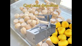 Cake Depositor/Filling Machine Manufacturer | Cupcake Making Machine