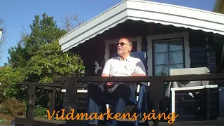 VILDMARKENS SÅNG- Eddie Meduza(cover)