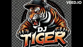 DJ BORN TIGER - WHAT´S THE DIFFERENCE (REMIX)