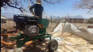 PICADORA DE FORRAJE,  moliendo rastrojo para las cabras en el rancho Loma Bonita.