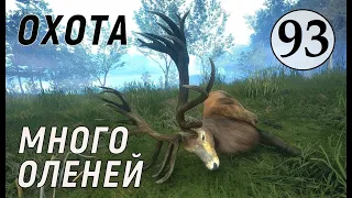 TheHunter Call of the - ОХОТА на Индейку, Благородного Оленя и Пятнистого Оленя # 93