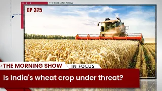 TMS Ep375: Wheat crop, Air India, rice exporters’ shares, political symbols