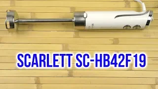 Распаковка SCARLETT SC-HB42F19