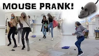 Mouse Prank! Vicious rodent terrorizes innocent shoppers 🐭 Great Laughs