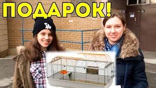 SvinkiShow Подарили Клетку Подписчице / Подарок от Блогера