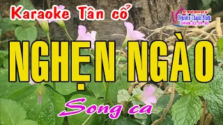 Karaoke tân cổ NGHẸN NGÀO - SONG CA [ Tấn Tài - Lệ Thuỷ ] Tân cổ trước 75.