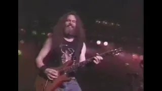 Damn Yankees - Coming of Age (Live 1993)