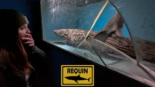 Ce requin est mort ici ?!! | URBEX