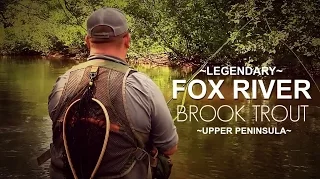 Fox River Brook Trout in Michigan's Upper Peninsula