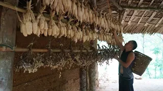 This is how "SERFDOM" applied about 2,000 years ago: Harvesting corn+peanuts | Primitive Skills